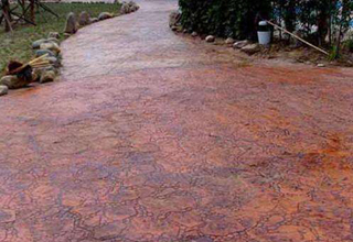 ˇ�g������ƺ